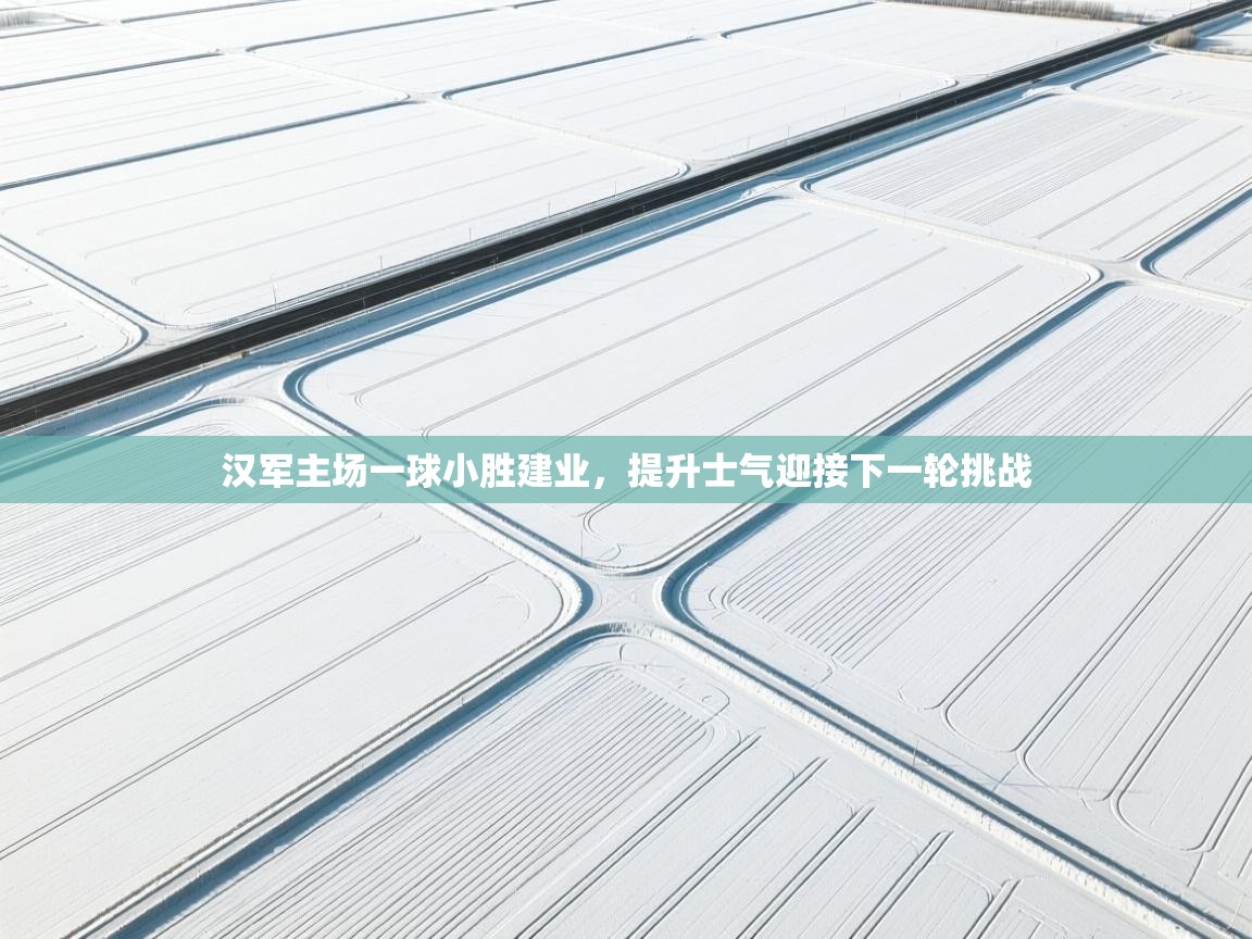 汉军主场一球小胜建业,提升士气迎接下一轮挑战 第1张