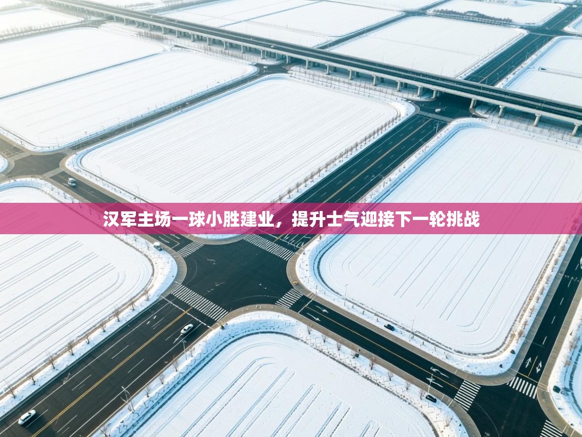 汉军主场一球小胜建业,提升士气迎接下一轮挑战 第2张