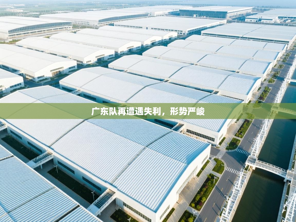 广东队再遭遇失利,形势严峻 第1张