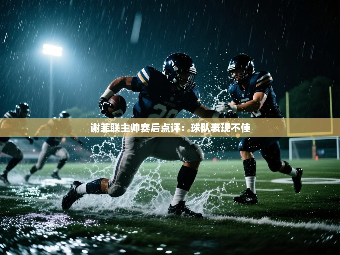 谢菲联主帅赛后点评：球队表现不佳